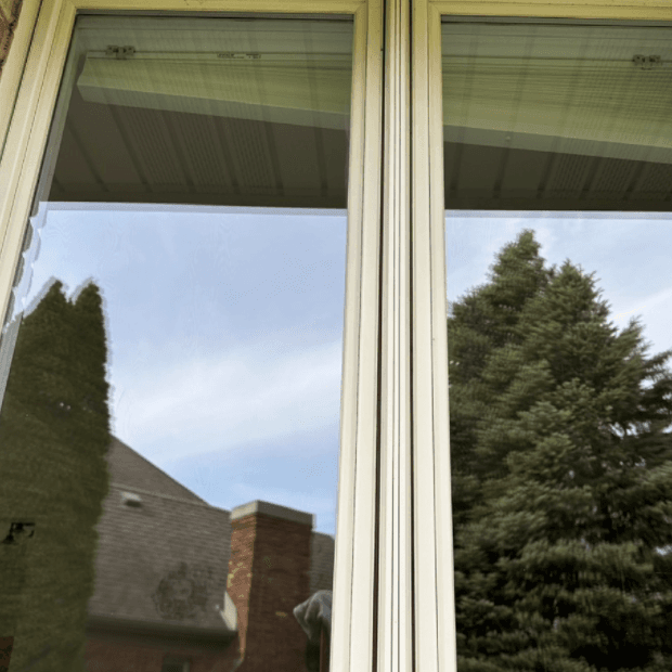 After window cleaning - crystal clear and sparkling windows